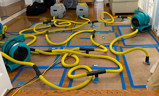 Professional Sewage Cleanup technician working in Mineola, TX